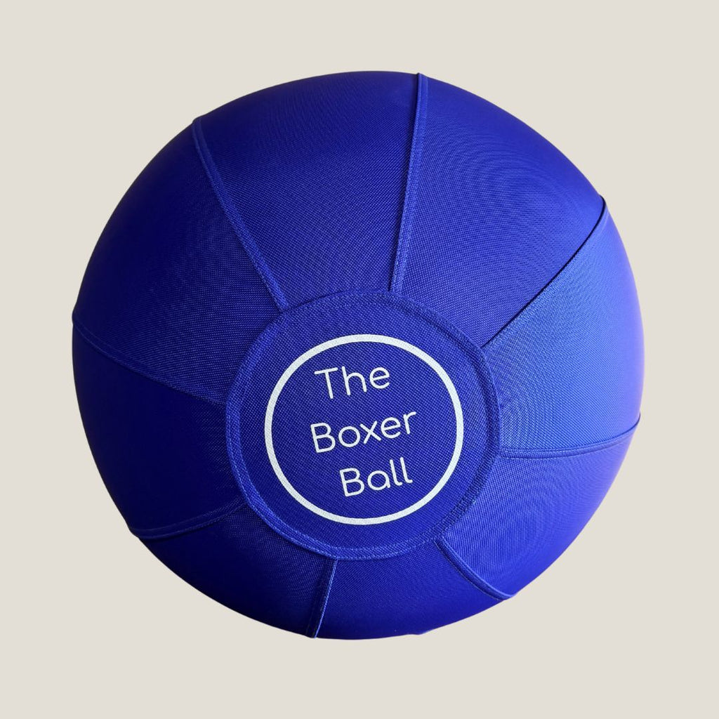 Bouncing Boxer Co Boxer Ball - back view of large blue dog ball toy with The Boxer Ball logo